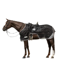 REFLEX EXERCISE SHEET By Waldhausen