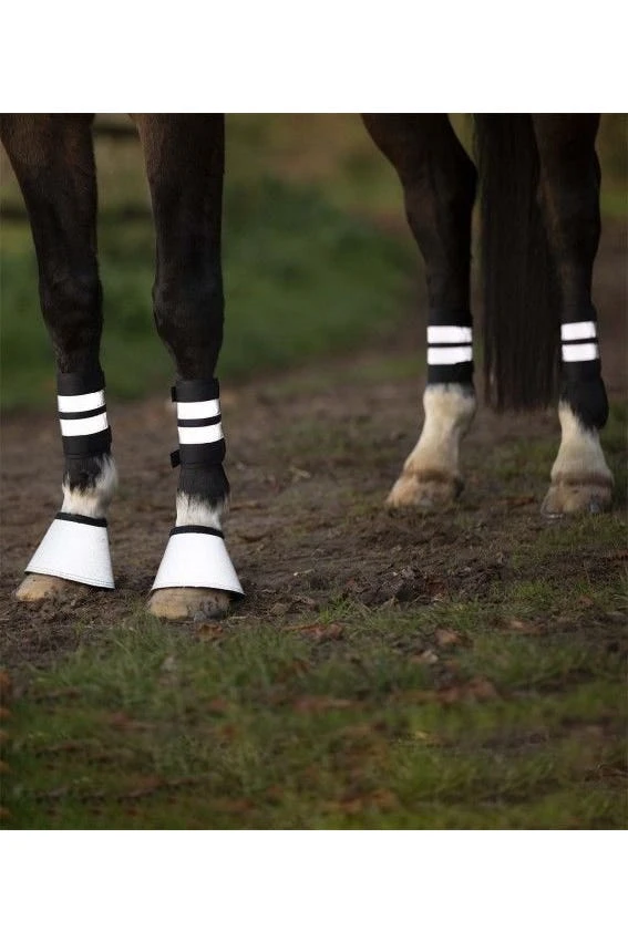 Waldhausen 4er Set Bandagen Reflex, WB - Image 2