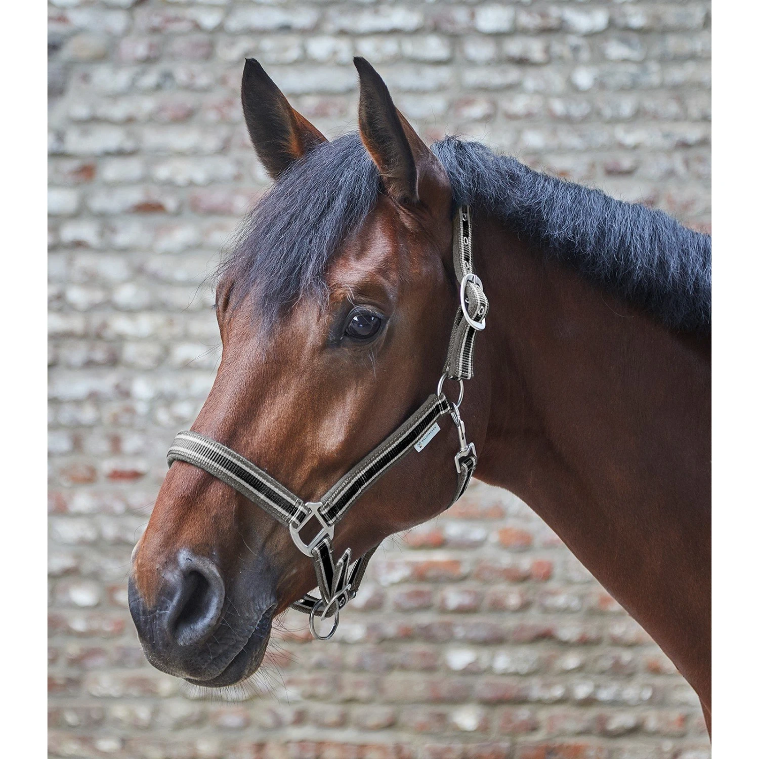 Waldhausen Esperia Halter