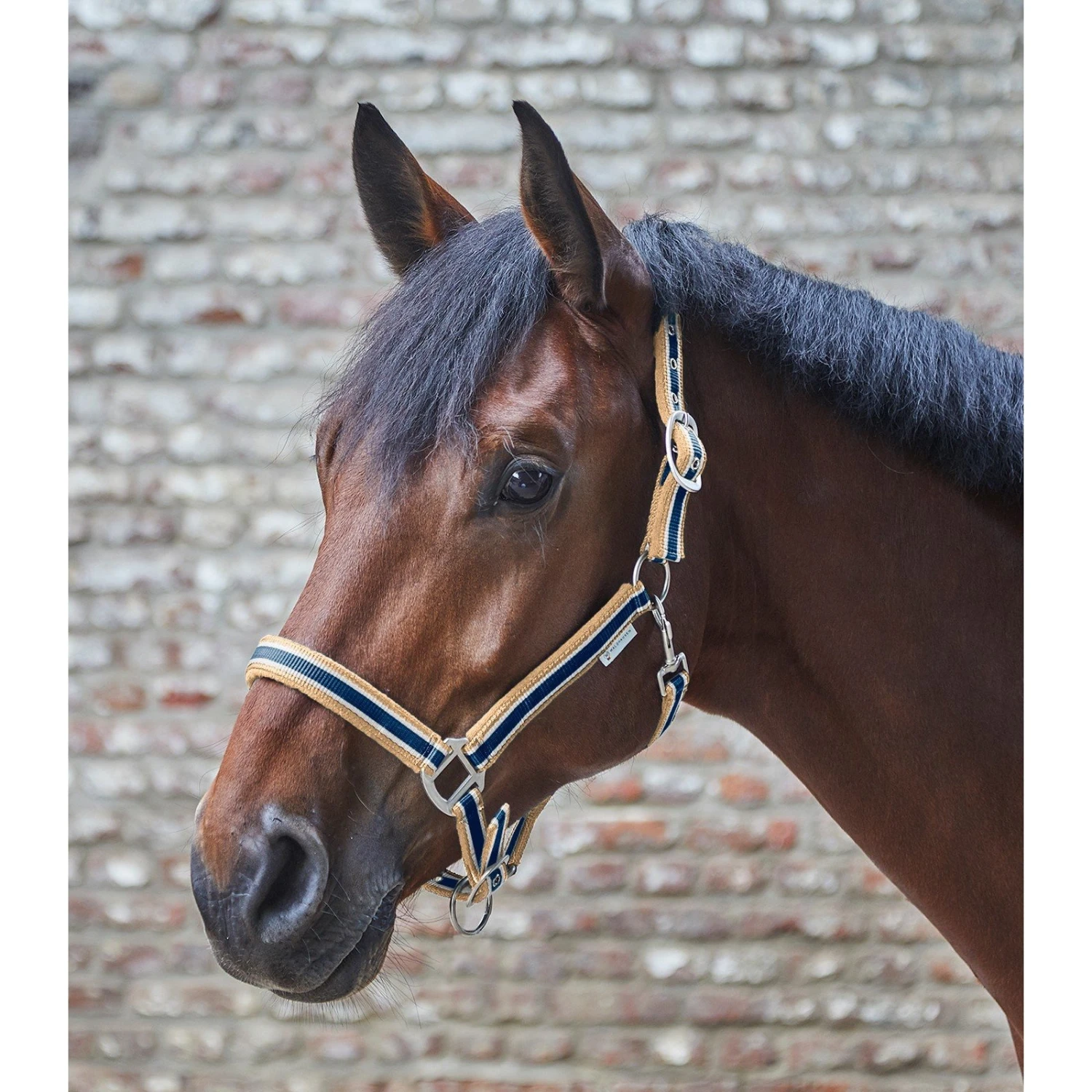 Waldhausen Esperia Halter - Image 2