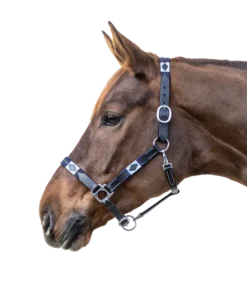 POLO LEATHER HALTER By Waldhausen