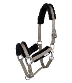 PEGASUS HALTER By Waldhausen