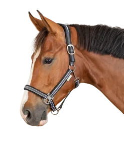 ATHLETIC HALTER By Waldhausen