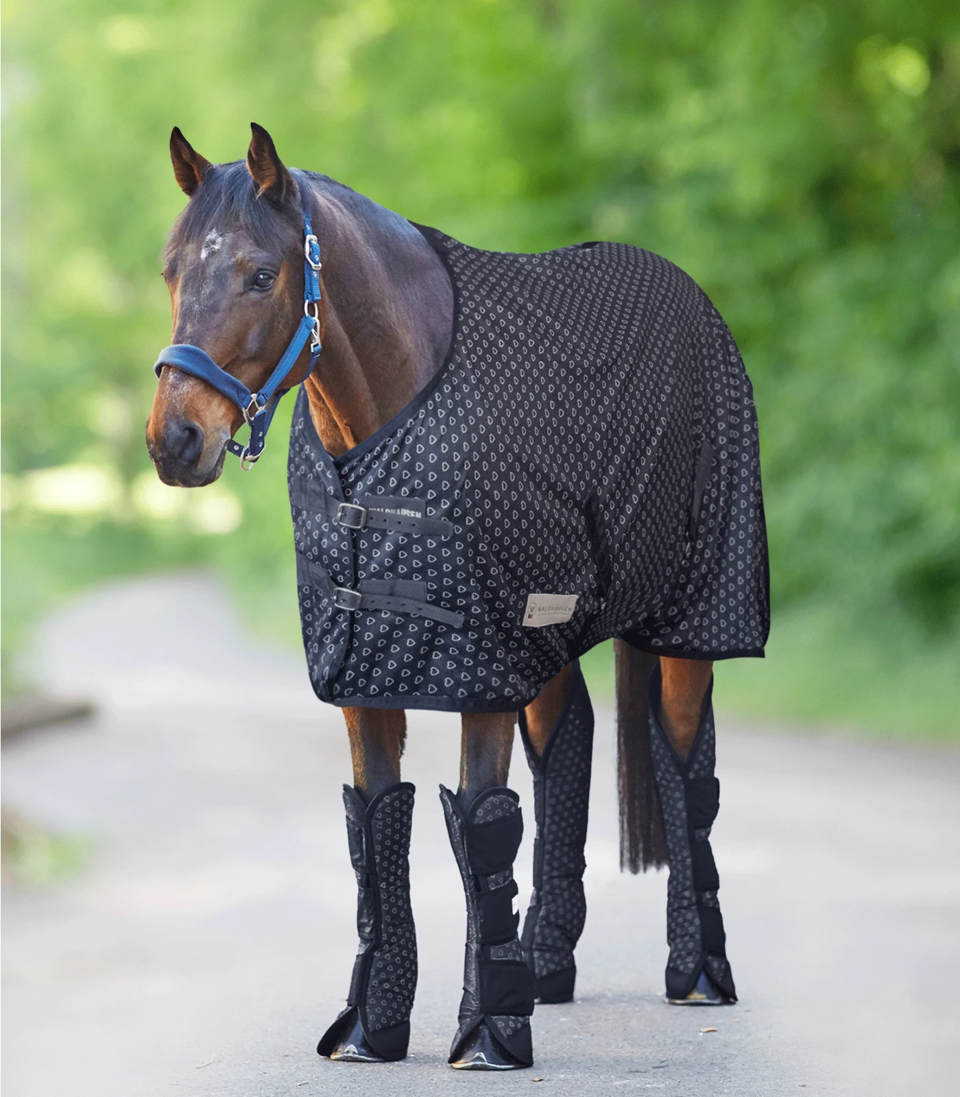 LUCKY HEART TURNOUT RUG, FLEECE By Waldhausen - Image 2