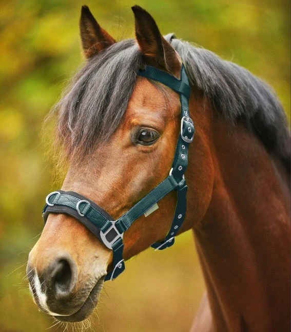 ECONOMIC LUNGING HALTER By Waldhausen - Image 2