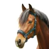 ECONOMIC LUNGING HALTER By Waldhausen