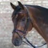 Waldhausen Star Diamond Bridle