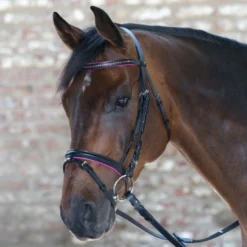 Waldhausen Star Diamond Bridle