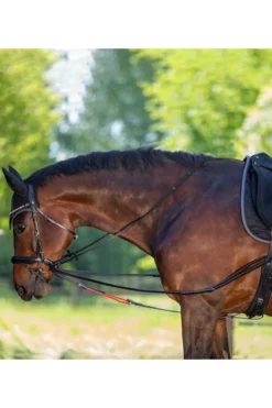 Waldhausen Dreieckszügel W-trainRein