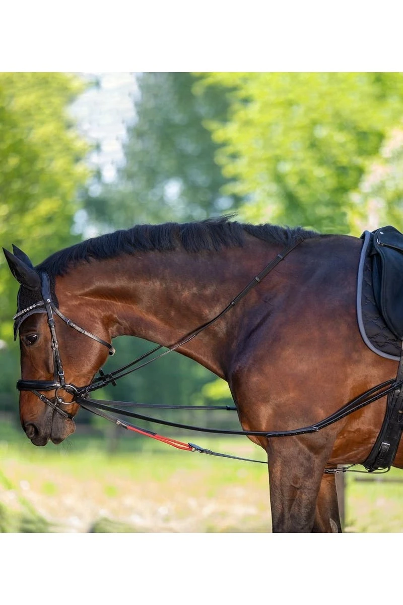 Waldhausen Dreieckszügel W-trainRein, VB