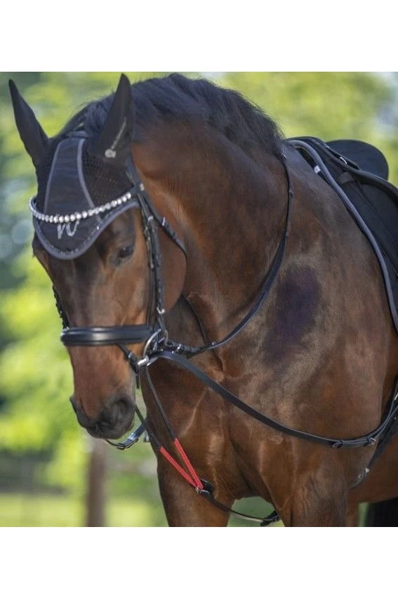 Waldhausen Dreieckszügel W-trainRein, VB - Image 2