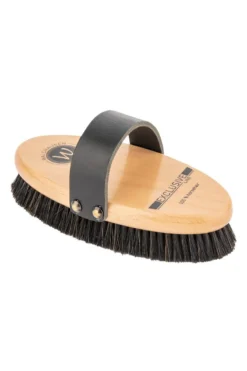 Waldhausen Exclusive Line Kardätsche, 2cm Rosshaar, 19cm