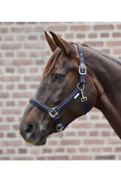 Waldhausen Halfter Crystal