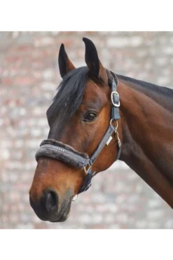 Waldhausen Halfter Elegant, XL-WB