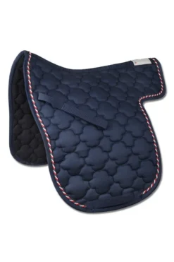 Waldhausen Island Satteldecke Landsmót