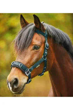 Waldhausen Kappzaum Economic