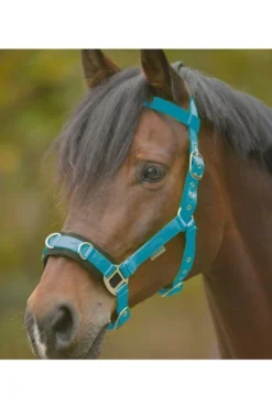 Waldhausen Kappzaum Economic, Azurblau