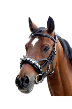 Waldhausen Kappzaum Mit Gebißverschnallung, Leder