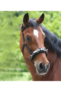 Waldhausen Kappzaum Nylon