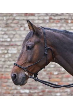 Waldhausen Knotenhalfter Mit Zügel
