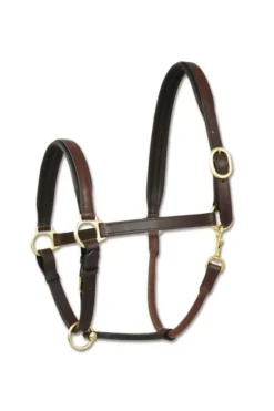 Waldhausen Lederhalfter Finesse II, WB