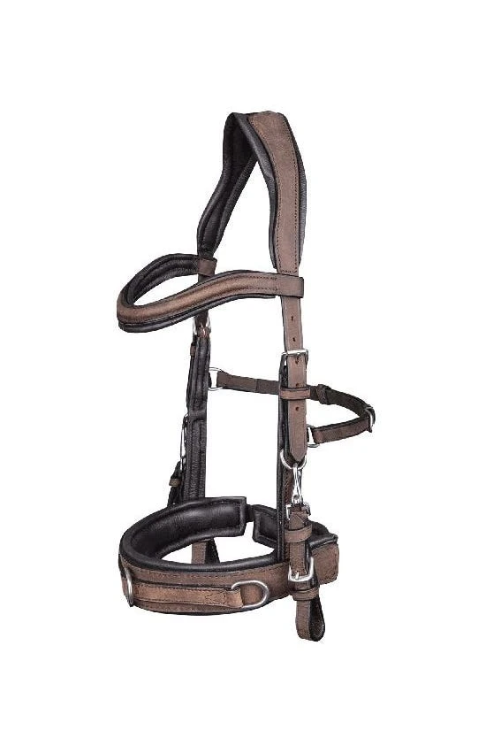 Waldhausen Lederkappzaum Anatomic