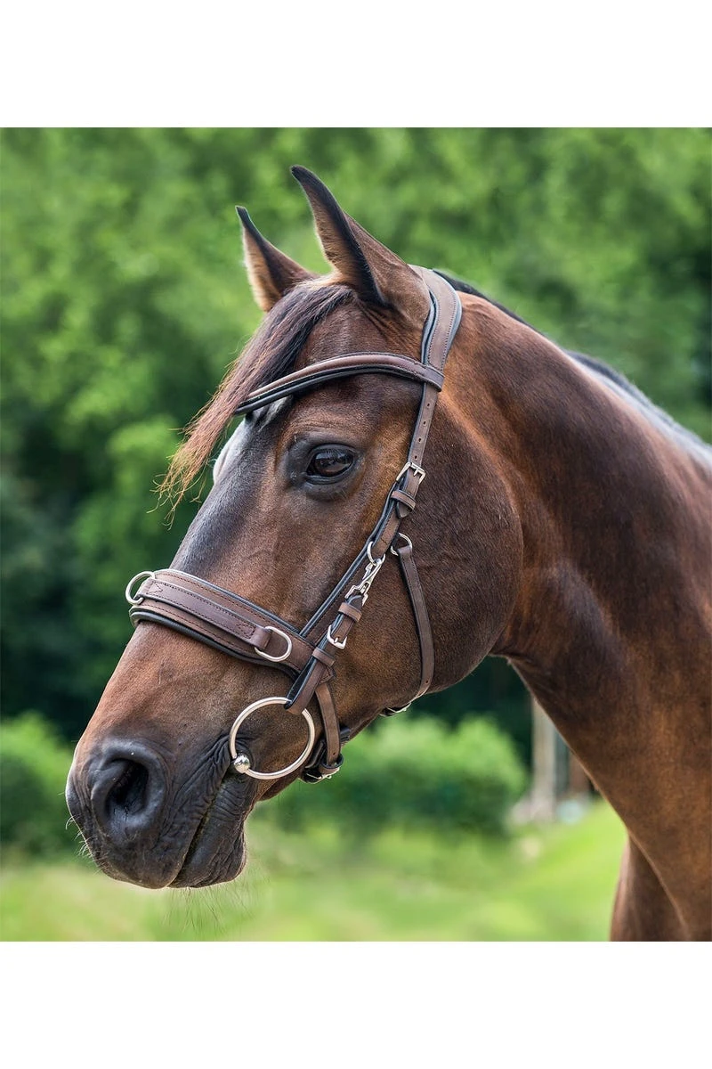 Waldhausen Lederkappzaum Anatomic - Image 2