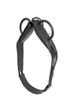 Waldhausen Longier- Und Voltigiergurt