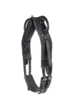 Waldhausen Longier- Und Voltigiergurt Synthetik