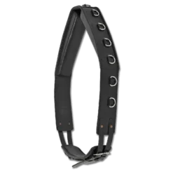 Lunging Surcingle By Waldhausen