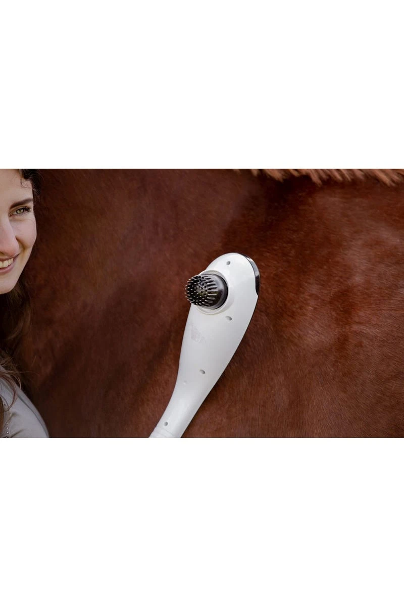 Waldhausen Massagegerät Super Dandy GO-Anywhere - Image 4