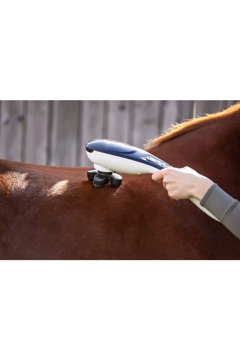 Waldhausen Massagegerät Super Dandy GO-Anywhere - Image 3