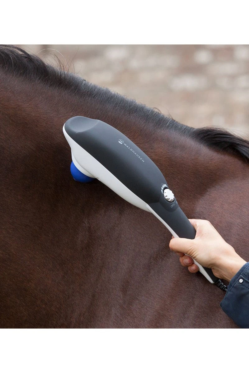 Waldhausen Massagegerät Super Dandy GO Relax