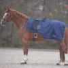 Waldhausen Rain Exercise Sheet With Saddle Gap