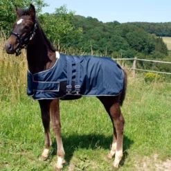 Waldhausen Foal Turnout Rug