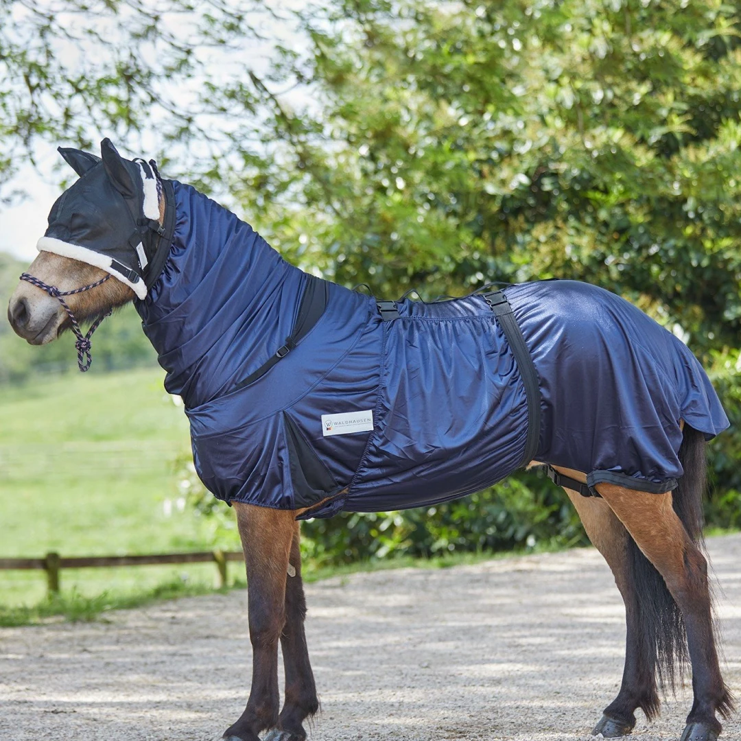 Waldhausen Eczema Rug