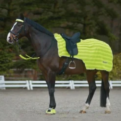 Waldhausen Reflex Hind Summer Exercise Sheet