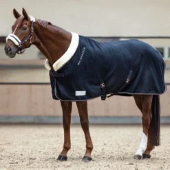 Waldhausen Modern Rose Fleece Rug