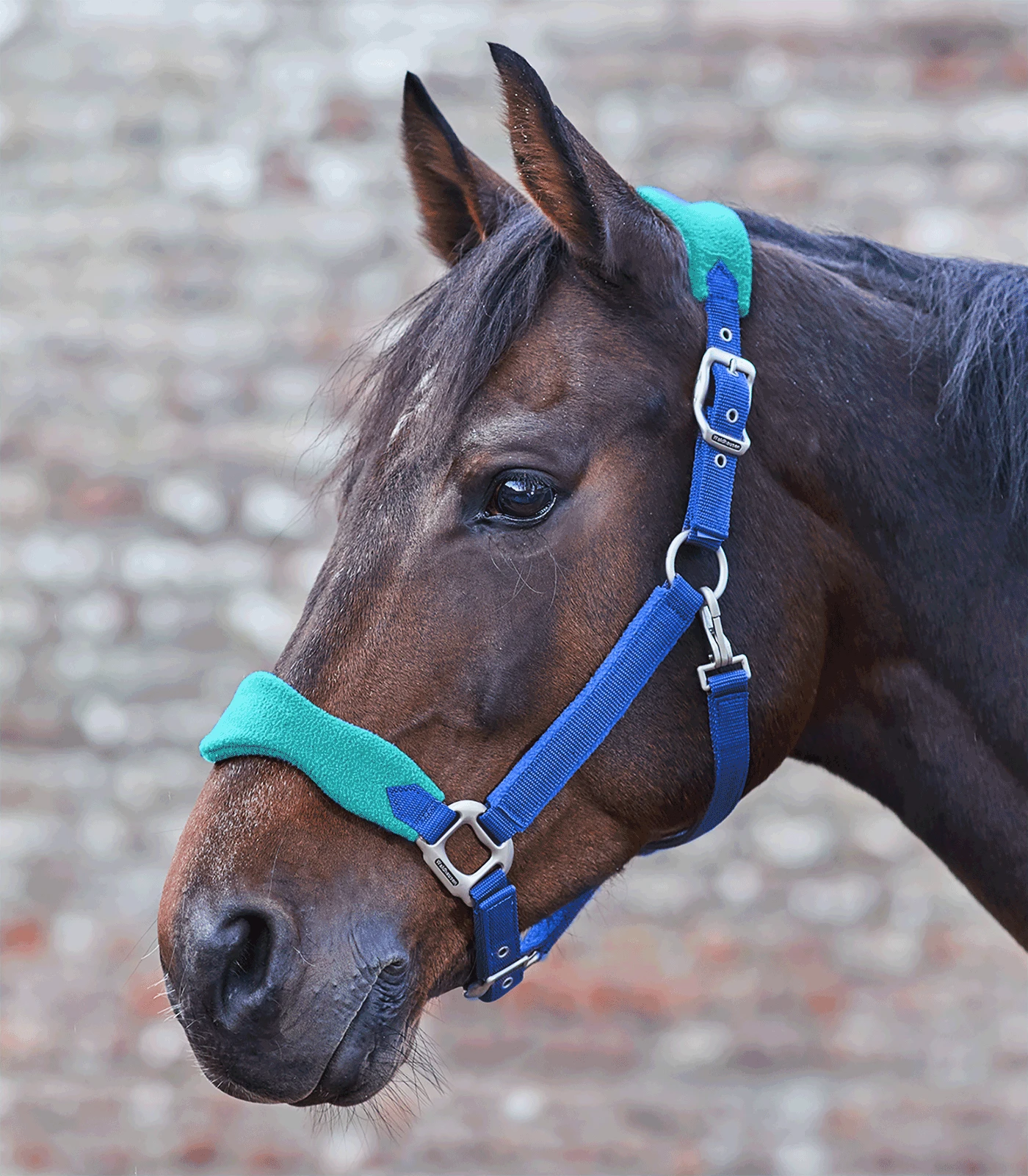 Premium Halter Soft By Waldhausen - Image 2