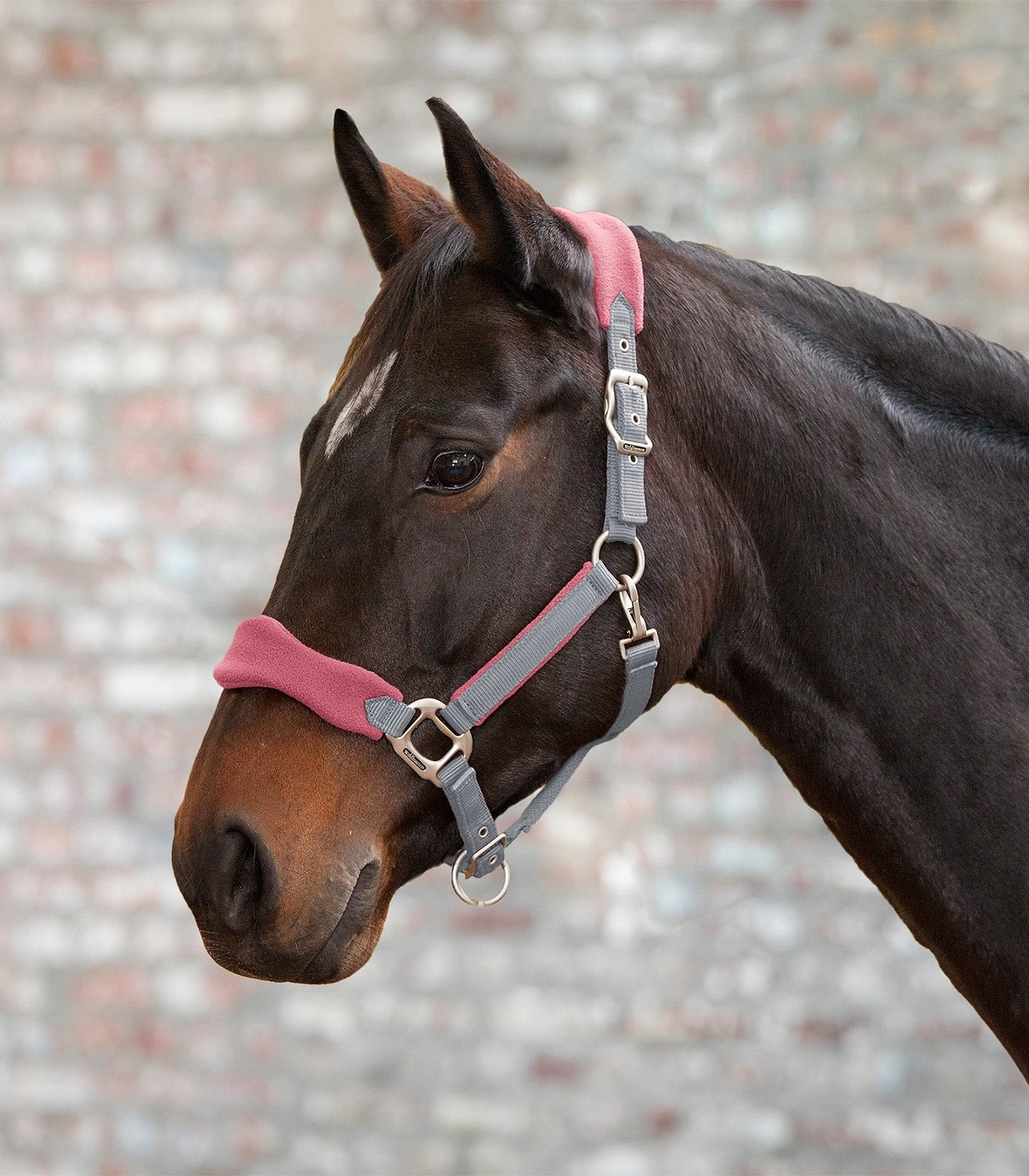 Premium Halter Soft By Waldhausen - Image 4