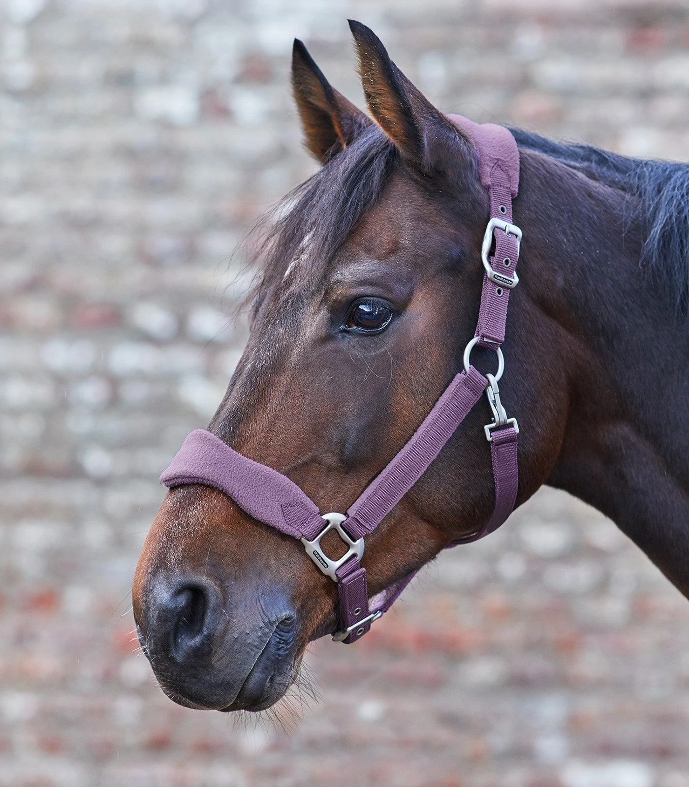 Premium Halter Soft By Waldhausen - Image 5