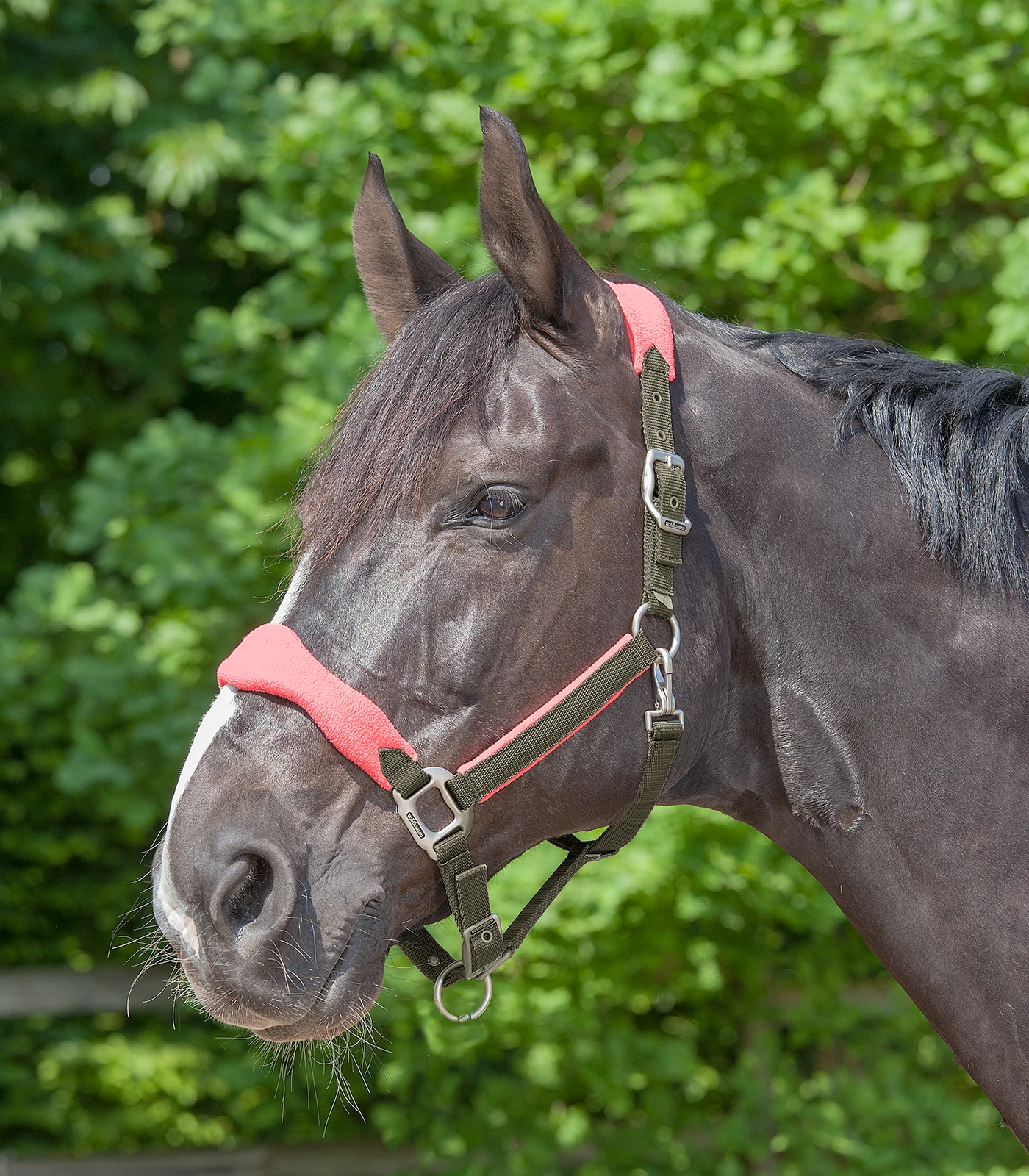 Premium Halter Soft By Waldhausen - Image 7