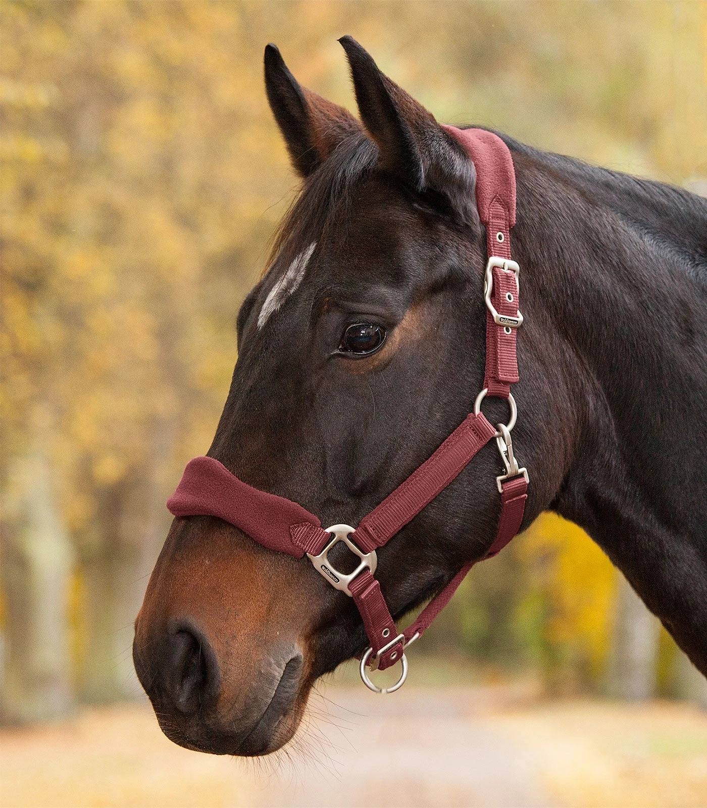 Premium Halter Soft By Waldhausen - Image 8