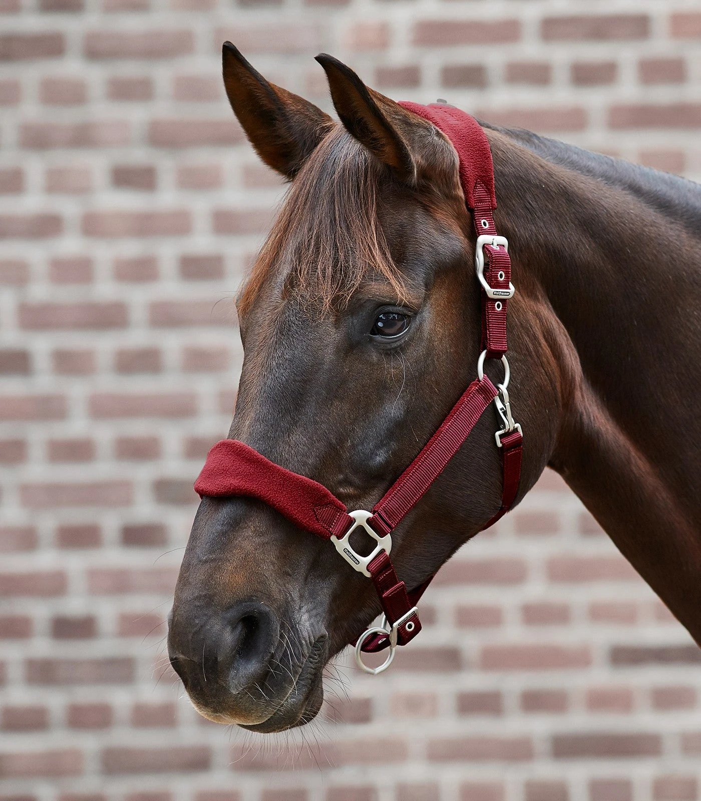 Premium Halter Soft By Waldhausen - Image 9