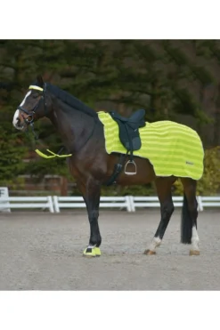 Waldhausen Reflex Nierendecke M. Leuchtstreifen