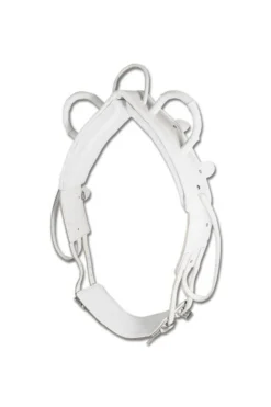 Waldhausen Voltigiergurt Training