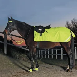 Waldhausen Hi-Viz Exercise Sheet